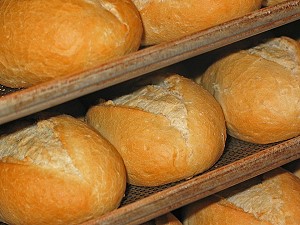 Brötchen aus Auszugsmehl