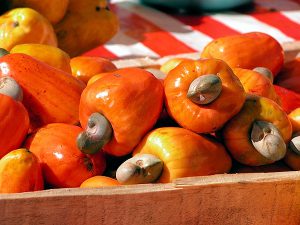Cashewnüsse mit Frucht