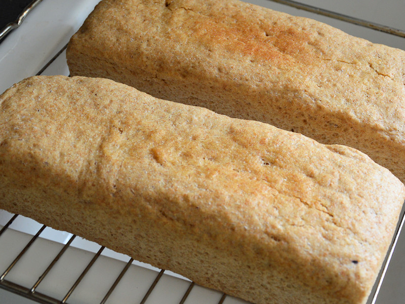 Dinkel-Vollkorn-Toastbrot selbst gemacht | Gesundheit leben