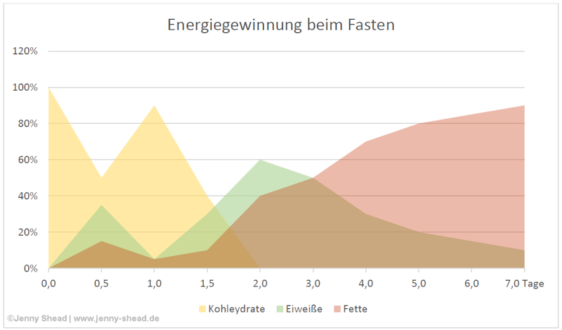 Grafik Energiegewinnung beim Fasten